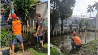IMG-20250709-WA0013