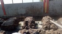 IMG-20250721-WA0018