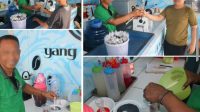 IMG-20250727-WA0043