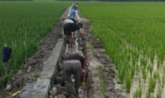 Proyek Pembangunan Lenning Desa Kesatuan Dipertanyakan Warga, APH Diminta Turun Tangan